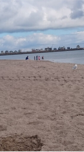 Sommerferienfreizeit2025 Kopie_small Ein Strand ist zusehen auf dem eine Möwe läuft. Hinten im Bild am Wasser sind fünf Personen.